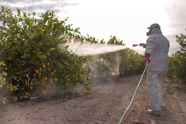 Best Wildlife Control Services  in Tonawanda, NY