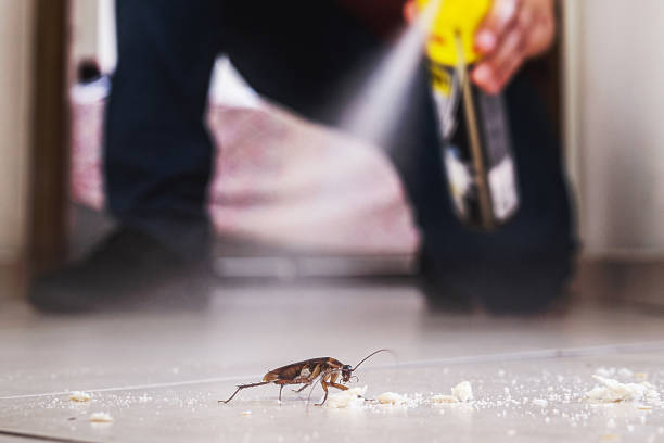 Best Pest Control Near Me in Tonawanda, NY