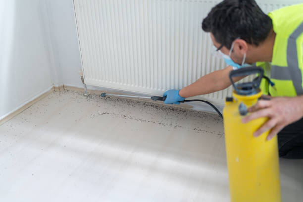 Best Pest Prevention Services  in Tonawanda, NY